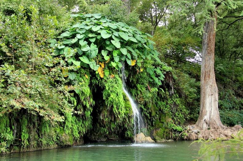 Kraus Springs 